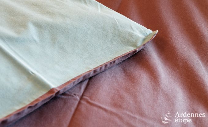 Holiday home in Durbuy: 32 people, 12 bedrooms, private garden, heart of the Belgian Ardennes