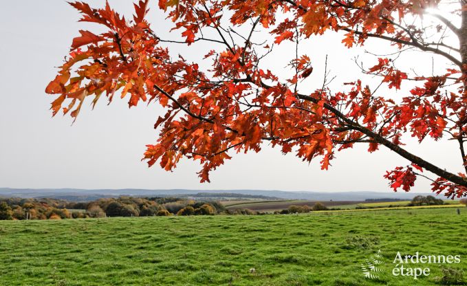 Holiday home in Durbuy: 32 people, 12 bedrooms, private garden, heart of the Belgian Ardennes