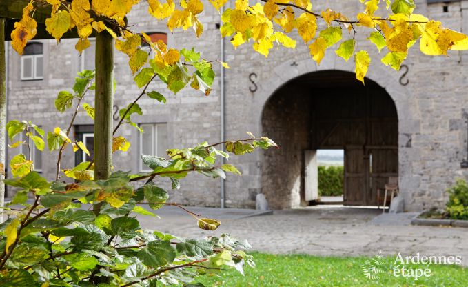 Holiday home in Durbuy: 32 people, 12 bedrooms, private garden, heart of the Belgian Ardennes