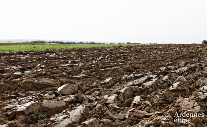 Holiday home in Durbuy: 32 people, 12 bedrooms, private garden, heart of the Belgian Ardennes