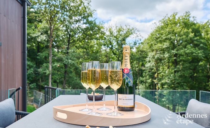 Comfortable holiday home for 4 people in Durbuy with 2 bedrooms, 2 bathrooms, sauna and private garden