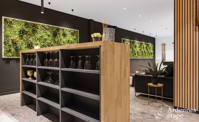 Luxury villa in Durbuy for 14 persons in the Ardennes