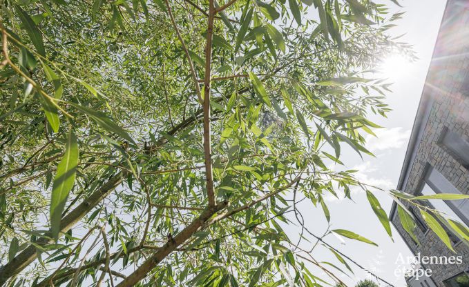 Luxury villa in Durbuy for 14 persons in the Ardennes