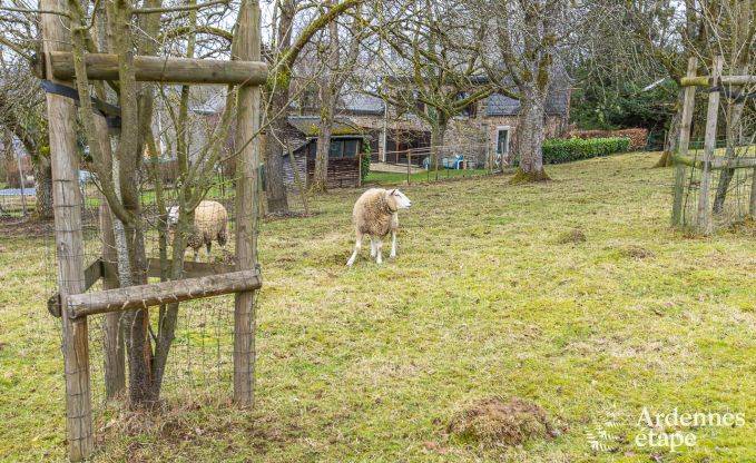 Luxury villa in Durbuy for 14 persons in the Ardennes