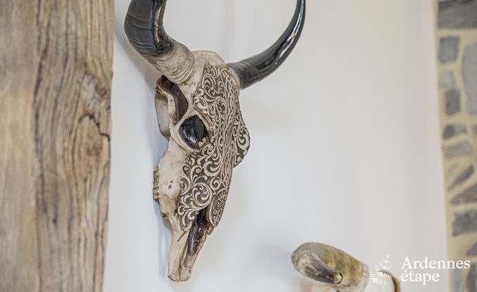 Luxury villa in Durbuy for 4/5 persons in the Ardennes