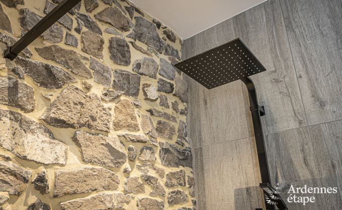 Luxury villa in Durbuy for 4/5 persons in the Ardennes