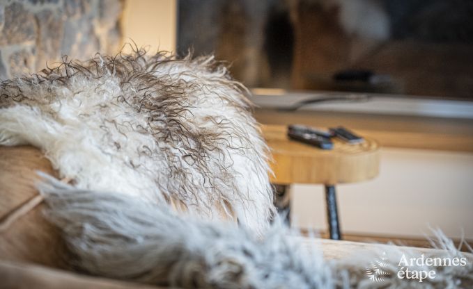 Luxury villa in Durbuy for 4/5 persons in the Ardennes