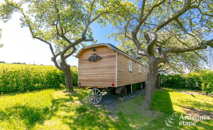 Beautiful and comfortable trailer for 2 - 3 people in Erezée