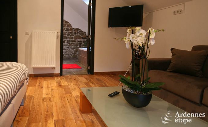 Comfortable and charming holiday home for 6 to 8 people in Erezée