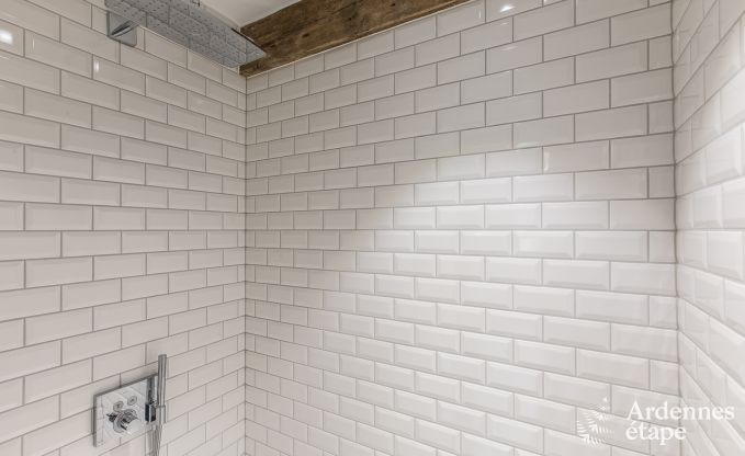 Luxury villa in Erez�e for 25 persons in the Ardennes