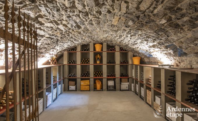 Luxury villa in Erez�e for 25 persons in the Ardennes