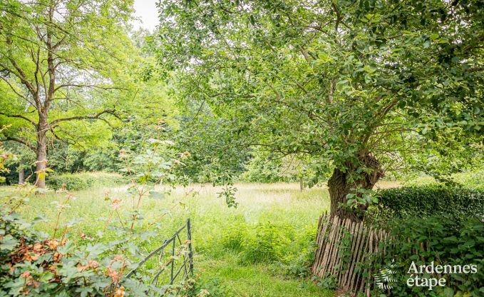 Holiday cottage in Fernelmont for 2/4 persons in the Ardennes