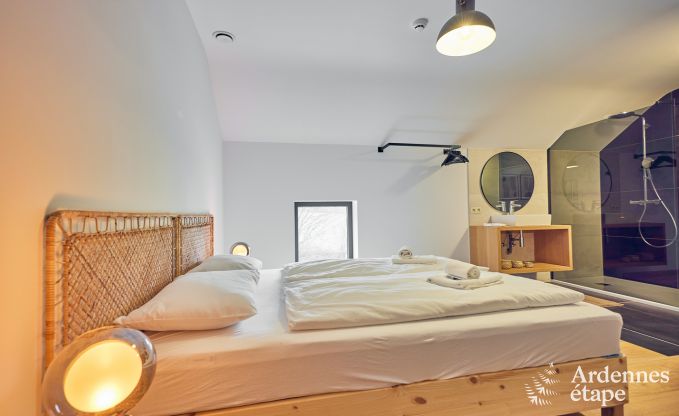 Luxury villa with sauna and hot tub for 15 guests in Ferrières