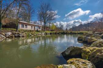 6-guest Ardennes chalet with pond in Florennes