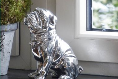 Holiday cottage in Florenville for 6 persons in the Ardennes