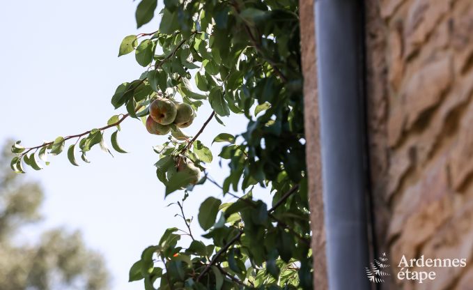 Holiday cottage in Florenville for 6/7 persons in the Ardennes