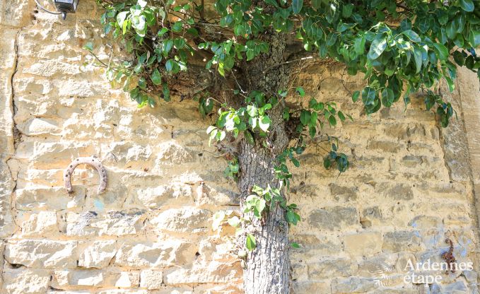 Holiday cottage in Florenville for 6/7 persons in the Ardennes