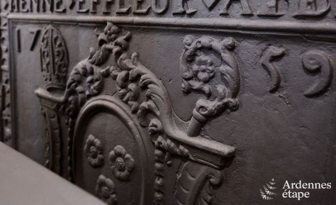 Charming holiday home for 8 people in Florenville with 4 bedrooms, wellness and play tower on the Semois