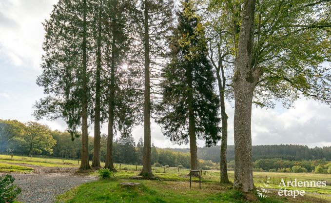 Holiday cottage in Francorchamps for 37 persons in the Ardennes