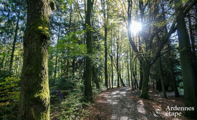 Holiday cottage in Francorchamps for 16 persons in the Ardennes