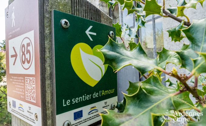 Apartment in Frasnes-lez-Anvaing for 4/5 persons