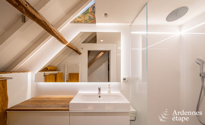 Apartment in Frasnes-lez-Anvaing for 4/5 persons