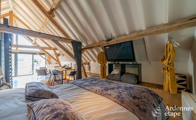 Apartment in Frasnes-lez-Anvaing for 4/5 persons