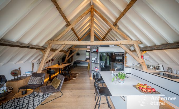 Apartment in Frasnes-lez-Anvaing for 4/5 persons