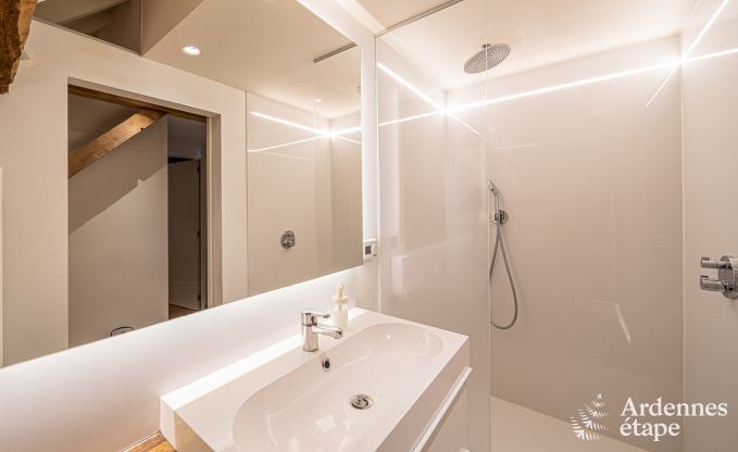 Apartment in Frasnes-lez-Anvaing for 4/5 persons