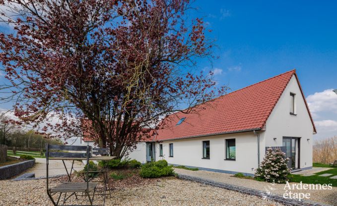 Luxury villa in Frasnes-lez-Anvaing for 6/8 persons in the Ardennes