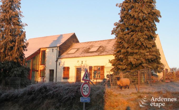 Holiday cottage in Froidchapelle for 4/6 persons in the Ardennes