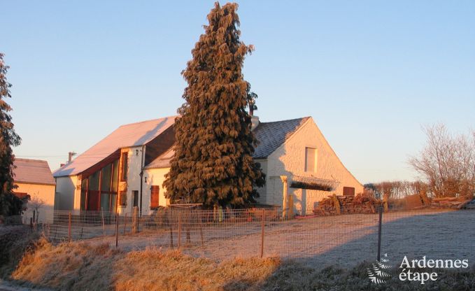 Holiday cottage in Froidchapelle for 4/6 persons in the Ardennes