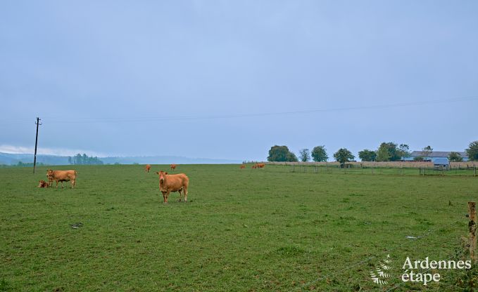 Original luxury villa in Gedinne, Ardennes