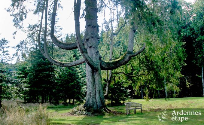 Luxury villa in Gedinne for 18 persons in the Ardennes