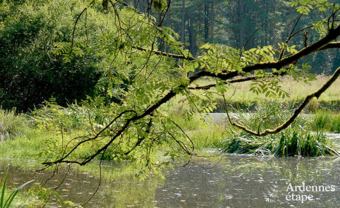 Luxury villa in Gedinne for 18 persons in the Ardennes