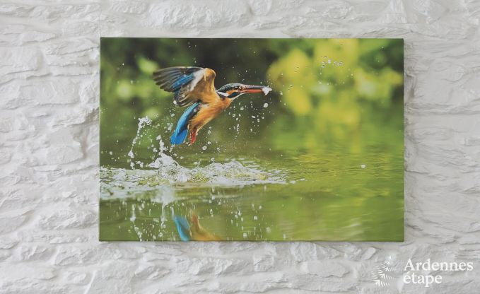 Luxury villa in Gedinne for 18 persons in the Ardennes