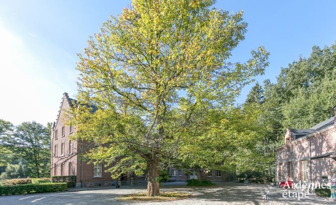 Luxury villa in Gedinne for 18 persons in the Ardennes