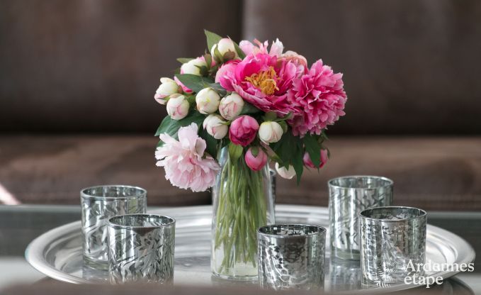 Luxury villa in Gedinne for 18 persons in the Ardennes