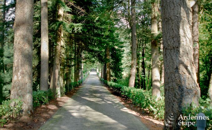 Luxury villa in Gedinne for 18 persons in the Ardennes