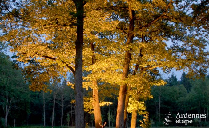 Luxury villa in Gedinne for 18 persons in the Ardennes