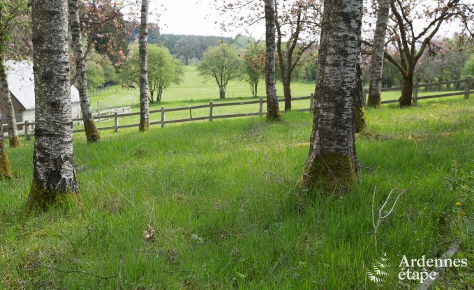 Holiday cottage in Gedinne for 14 persons in the Ardennes