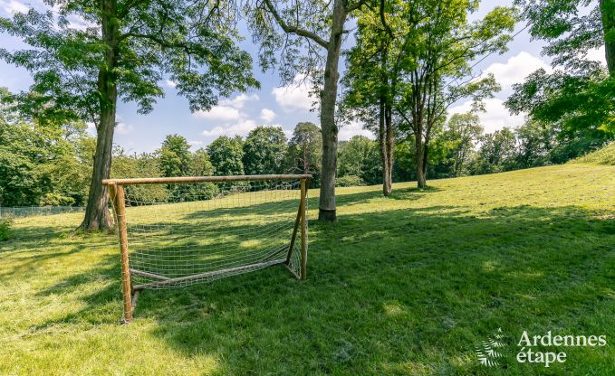 Castle in Gesves for 40 persons in the Ardennes