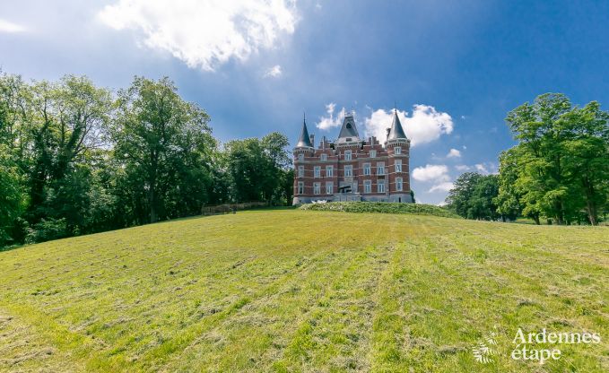 Castle in Gesves for 40 persons in the Ardennes