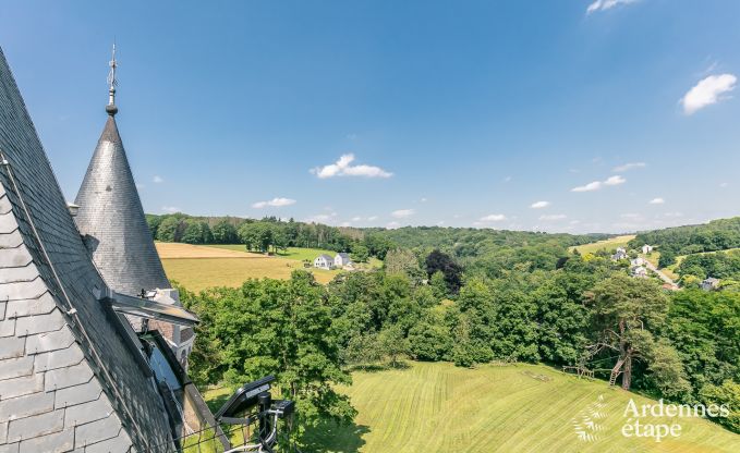 Castle in Gesves for 40 persons in the Ardennes