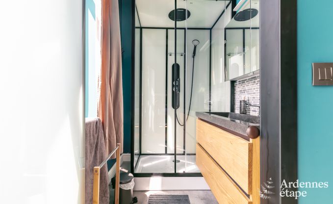 Castle in Gesves for 40 persons in the Ardennes