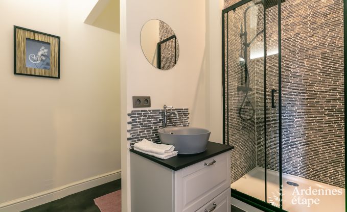 Castle in Gesves for 40 persons in the Ardennes