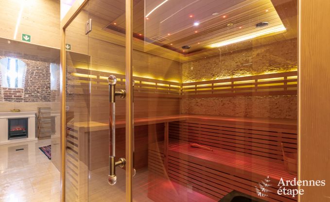 Castle in Gesves for 40 persons in the Ardennes