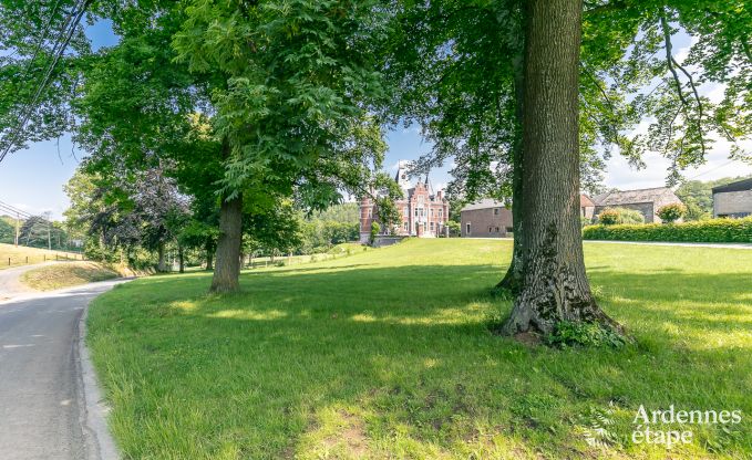 Castle in Gesves for 40 persons in the Ardennes