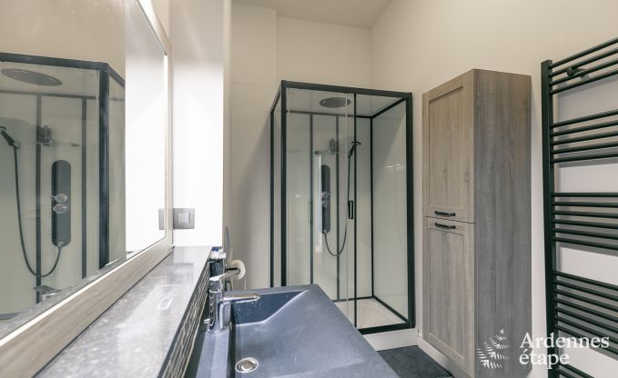 Castle in Gesves for 40 persons in the Ardennes