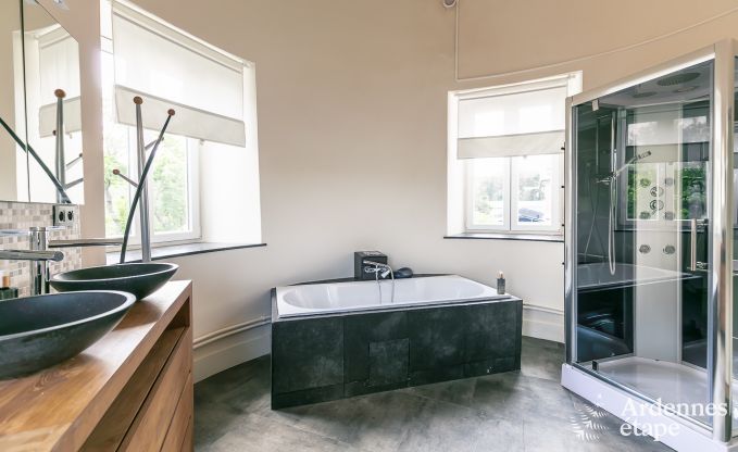 Castle in Gesves for 40 persons in the Ardennes